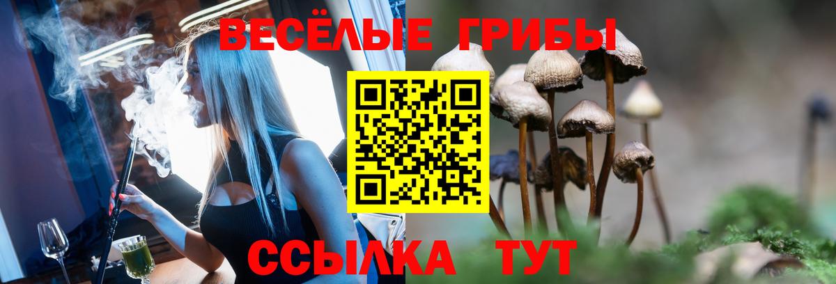 Псилоцибиновые грибы ЛСД Светлоград